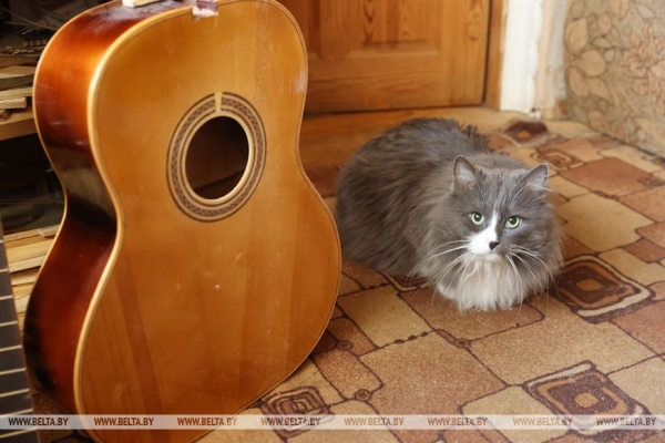 РЕПОРТАЖ: Как витебский мастер больше 30 лет дает жизнь струнным музыкальным инструментам РЕПОРТАЖ: Как витебский мастер больше 30 лет дает жизнь струнным музыкальным инструментам