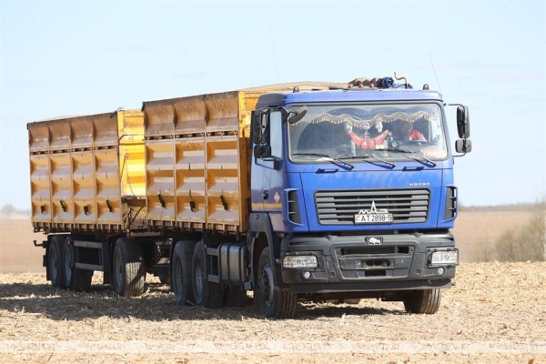 Заяц рассказал, чем закончился эксперимент по зимовке кукурузы на полях Заяц рассказал, чем закончился эксперимент по зимовке кукурузы на полях
