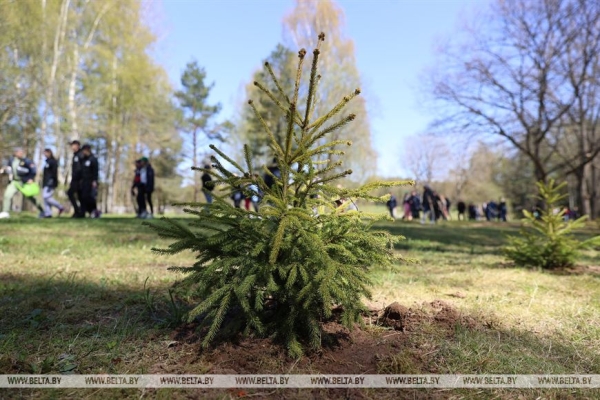 Луцкий: не сомневаюсь, что акцию по высадке деревьев в "Хатыни" поддержат многие белорусы Луцкий: не сомневаюсь, что акцию по высадке деревьев в "Хатыни" поддержат многие белорусы