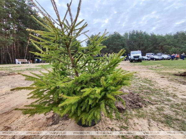 Республиканский субботник проходит сегодня в Беларуси Республиканский субботник проходит сегодня в Беларуси