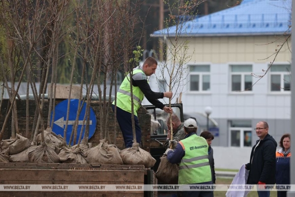 Республиканский субботник проходит сегодня в Беларуси Республиканский субботник проходит сегодня в Беларуси