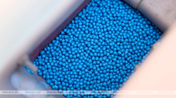 Отечественные семена, теплая погода и надежда на хороший урожай. Как в Беларуси продвигается посевная Отечественные семена, теплая погода и надежда на хороший урожай. Как в Беларуси продвигается посевная