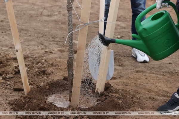 ФОТОРЕПОРТАЖ: Республиканский субботник прошел в Беларуси ФОТОРЕПОРТАЖ: Республиканский субботник прошел в Беларуси