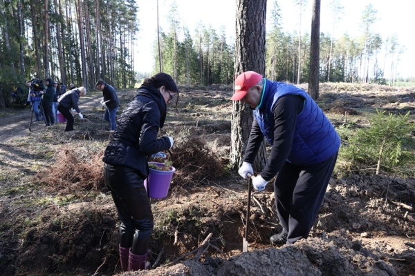 ФОТОРЕПОРТАЖ: Республиканский субботник прошел в Беларуси ФОТОРЕПОРТАЖ: Республиканский субботник прошел в Беларуси