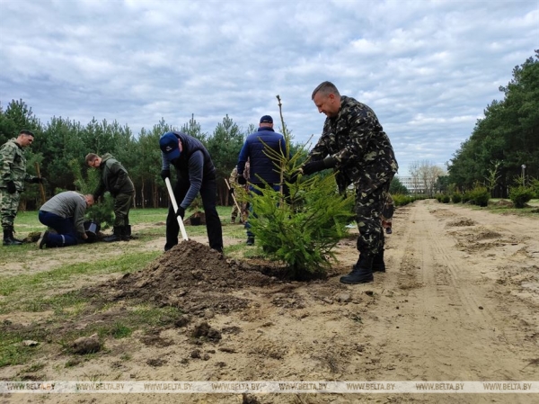 ФОТОРЕПОРТАЖ: Республиканский субботник прошел в Беларуси ФОТОРЕПОРТАЖ: Республиканский субботник прошел в Беларуси