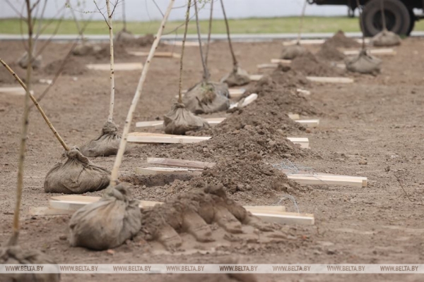 Республиканский субботник проходит сегодня в Беларуси Республиканский субботник проходит сегодня в Беларуси