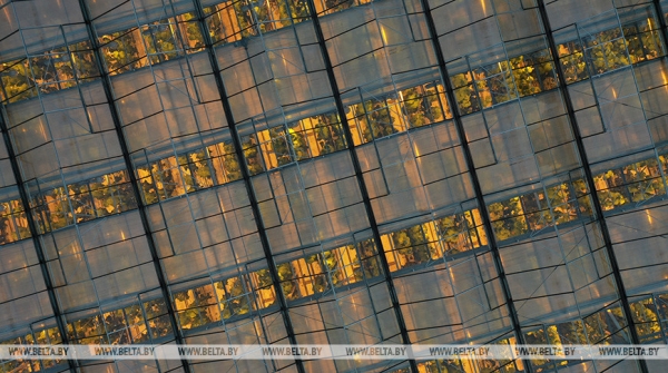 Новые теплицы, интенсивные сады и мелиорация. Как улучшится работа АПК в Беларуси Новые теплицы, интенсивные сады и мелиорация. Как улучшится работа АПК в Беларуси