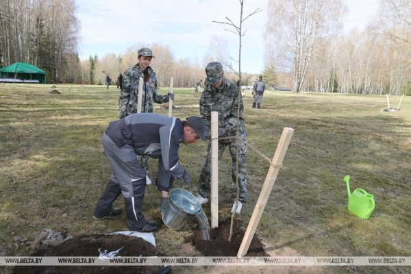 "Каждый год надо привносить изюминку". Лукашенко на субботнике трудится в мемориальном комплексе "Хатынь" "Каждый год надо привносить изюминку". Лукашенко на субботнике трудится в мемориальном комплексе "Хатынь"