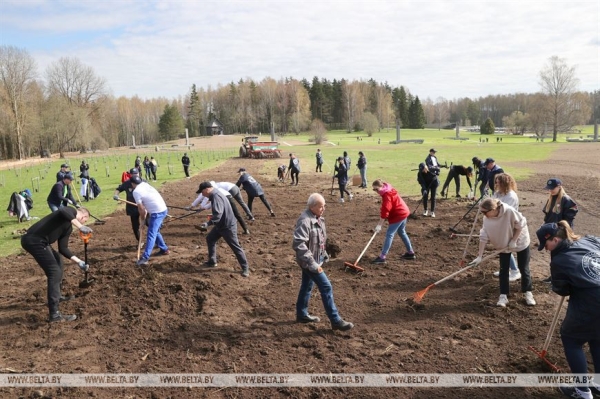 "Каждый год надо привносить изюминку". Лукашенко на субботнике трудится в мемориальном комплексе "Хатынь" "Каждый год надо привносить изюминку". Лукашенко на субботнике трудится в мемориальном комплексе "Хатынь"