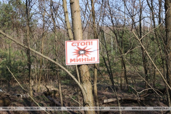 Южный периметр под защитой. Репортаж об усилении госграницы в Гомельском регионе Южный периметр под защитой. Репортаж об усилении госграницы в Гомельском регионе