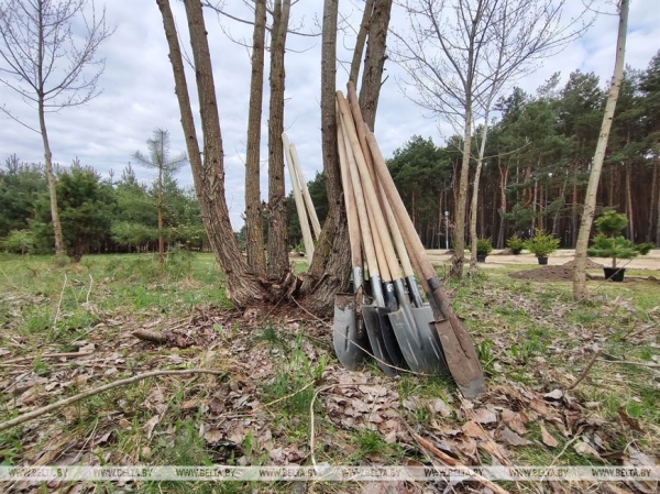 Республиканский субботник проходит сегодня в Беларуси Республиканский субботник проходит сегодня в Беларуси