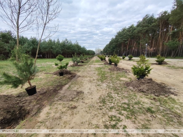 Республиканский субботник проходит сегодня в Беларуси Республиканский субботник проходит сегодня в Беларуси