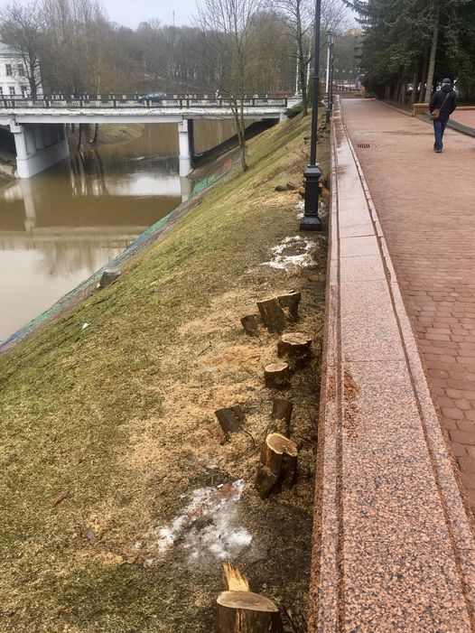 Как золотая рыбка в Витебске утонула Как золотая рыбка в Витебске утонула