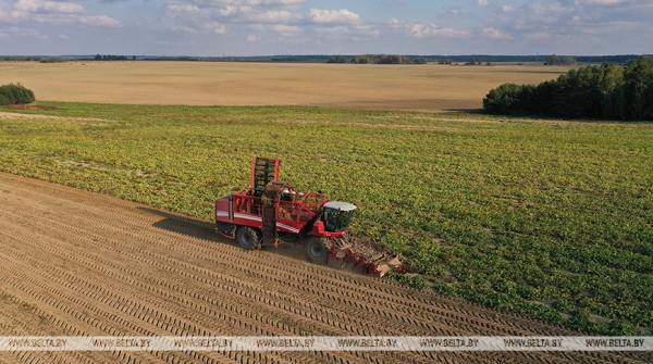 Рост экспорта сахара и мелиорация: Заяц о планах в сельском хозяйстве на этот год Рост экспорта сахара и мелиорация: Заяц о планах в сельском хозяйстве на этот год