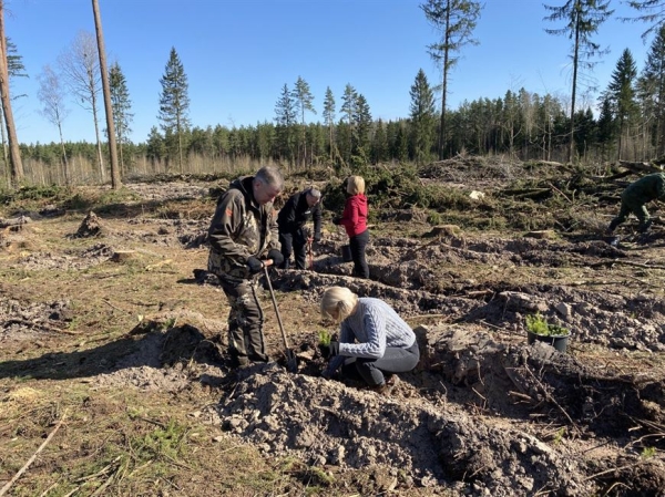 Назаров: создавая новые леса, оставляем послание будущим поколениям Назаров: создавая новые леса, оставляем послание будущим поколениям