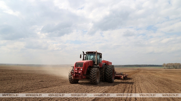 Посевную кампанию в Беларуси планируют завершить до 1 мая Посевную кампанию в Беларуси планируют завершить до 1 мая