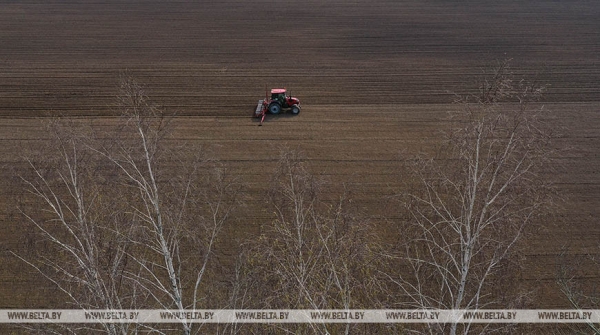 Отечественные семена, теплая погода и надежда на хороший урожай. Как в Беларуси продвигается посевная Отечественные семена, теплая погода и надежда на хороший урожай. Как в Беларуси продвигается посевная