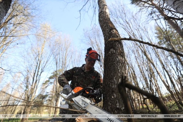 ФОТОРЕПОРТАЖ: Республиканский субботник прошел в Беларуси ФОТОРЕПОРТАЖ: Республиканский субботник прошел в Беларуси