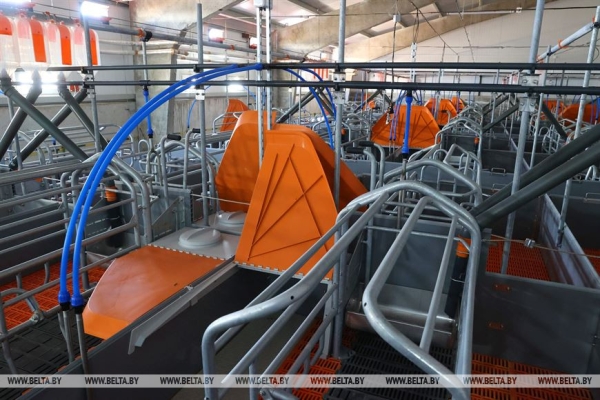 Сергеенко: в Могилевской области выполняются все социальные программы Сергеенко: в Могилевской области выполняются все социальные программы