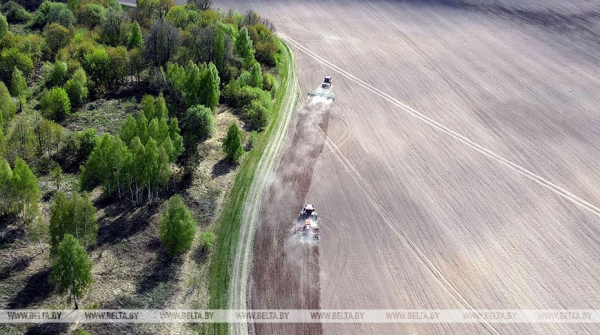 В Беларуси завершается сев ранних яровых В Беларуси завершается сев ранних яровых