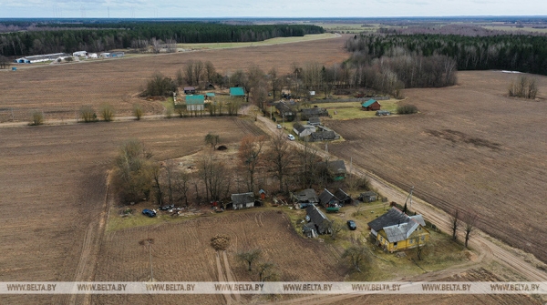 "Вы видите, как хорошеет родная земля". Почему для Лукашенко так важен порядок в Беларуси "Вы видите, как хорошеет родная земля". Почему для Лукашенко так важен порядок в Беларуси