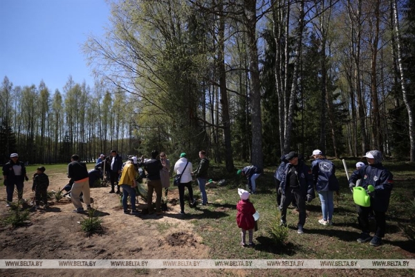 Наследие для будущих поколений. Белорусские артисты высадили в "Хатыни" около тысячи молодых елей Наследие для будущих поколений. Белорусские артисты высадили в "Хатыни" около тысячи молодых елей