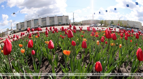 На "Славянский базар" без визы: в ГПК уточнили правила въезда для участников и гостей форума