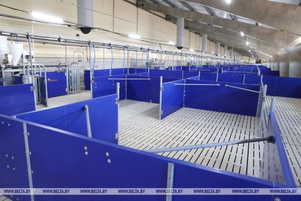 Сергеенко: в Могилевской области выполняются все социальные программы Сергеенко: в Могилевской области выполняются все социальные программы