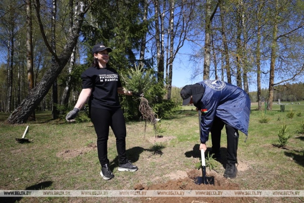 Наследие для будущих поколений. Белорусские артисты высадили в "Хатыни" около тысячи молодых елей Наследие для будущих поколений. Белорусские артисты высадили в "Хатыни" около тысячи молодых елей