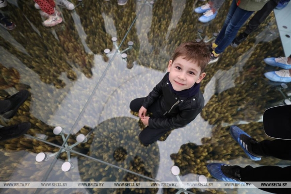 Наследие для будущих поколений. Белорусские артисты высадили в "Хатыни" около тысячи молодых елей Наследие для будущих поколений. Белорусские артисты высадили в "Хатыни" около тысячи молодых елей