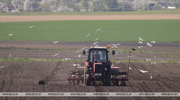 Заяц: до 20 мая необходимо завершить сев и подготовить кормоуборочную технику Заяц: до 20 мая необходимо завершить сев и подготовить кормоуборочную технику