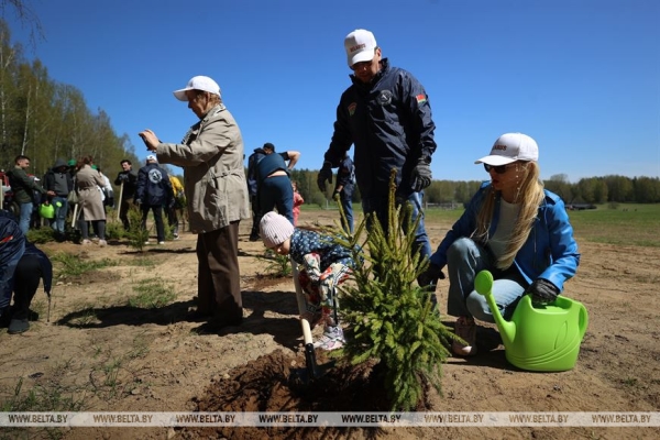 Наследие для будущих поколений. Белорусские артисты высадили в "Хатыни" около тысячи молодых елей Наследие для будущих поколений. Белорусские артисты высадили в "Хатыни" около тысячи молодых елей