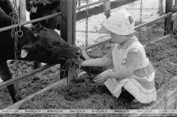 Вспомним детство! Самая беззаботная и счастливая пора в архивных фото БЕЛТА Вспомним детство! Самая беззаботная и счастливая пора в архивных фото БЕЛТА