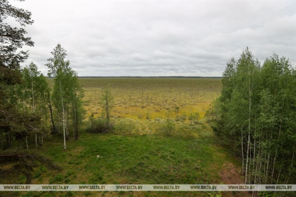 "Нужно пообщаться с природой, чтобы почувствовать релакс". Кто и зачем приезжает к духу болот в заповедник "Нужно пообщаться с природой, чтобы почувствовать релакс". Кто и зачем приезжает к духу болот в заповедник