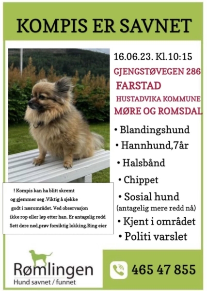 Бросил все и укатил в отпуск? Пса искали по всей Норвегии, а он оказался в Италии Бросил все и укатил в отпуск? Пса искали по всей Норвегии, а он оказался в Италии