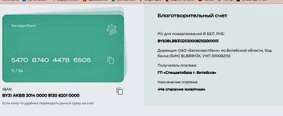 Витебскому приюту для животных «Добрик» — 12 лет Витебскому приюту для животных «Добрик» — 12 лет