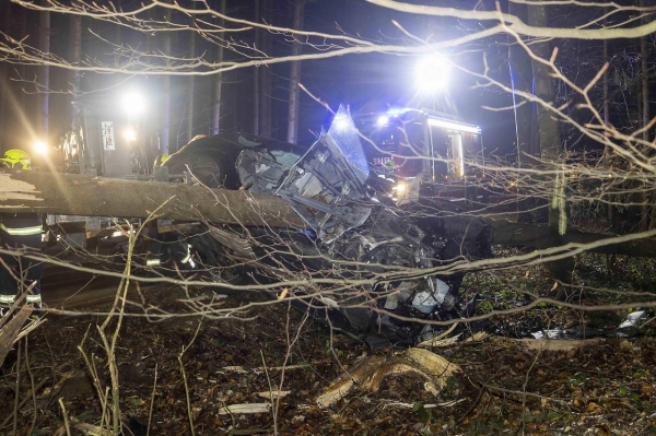 Австрийка чудом выжила за рулем компактвэна, который воткнулся в огромную ель Австрийка чудом выжила за рулем компактвэна, который воткнулся в огромную ель