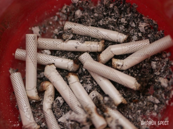 Цены вырастут на 5-45 копеек. Какие сигареты подорожают в Беларуси Цены вырастут на 5-45 копеек. Какие сигареты подорожают в Беларуси