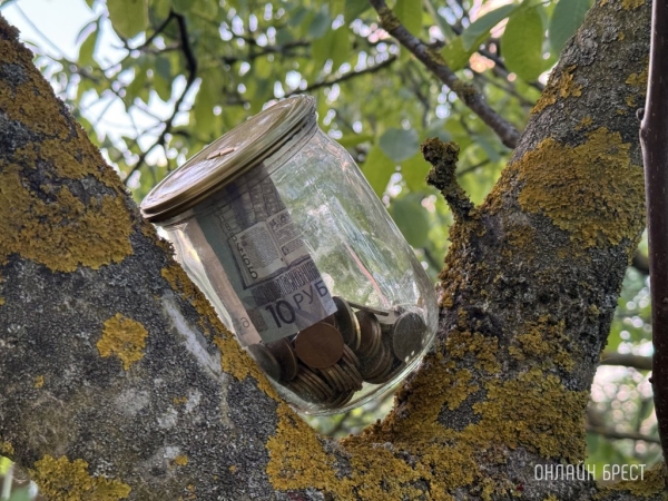 Средняя зарплата выросла в Беларуси – кто и сколько зарабатывает Средняя зарплата выросла в Беларуси – кто и сколько зарабатывает