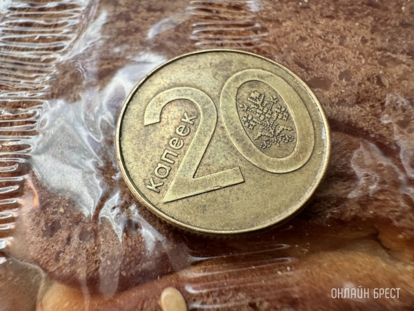 Сколько денег тратят на еду и ЖКХ жители Брестской области Сколько денег тратят на еду и ЖКХ жители Брестской области