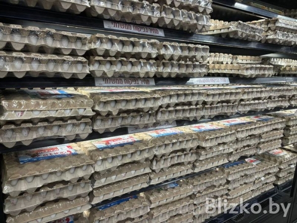 Сравнили цены на продукты в магазинах Беларуси и Израиля. И вот что получилось Сравнили цены на продукты в магазинах Беларуси и Израиля. И вот что получилось