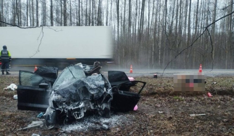 Один человек погиб и трое госпитализировано после ДТП с лосем в Добрушском районе
Один человек погиб и трое госпитализировано после ДТП с лосем в Добрушском районе