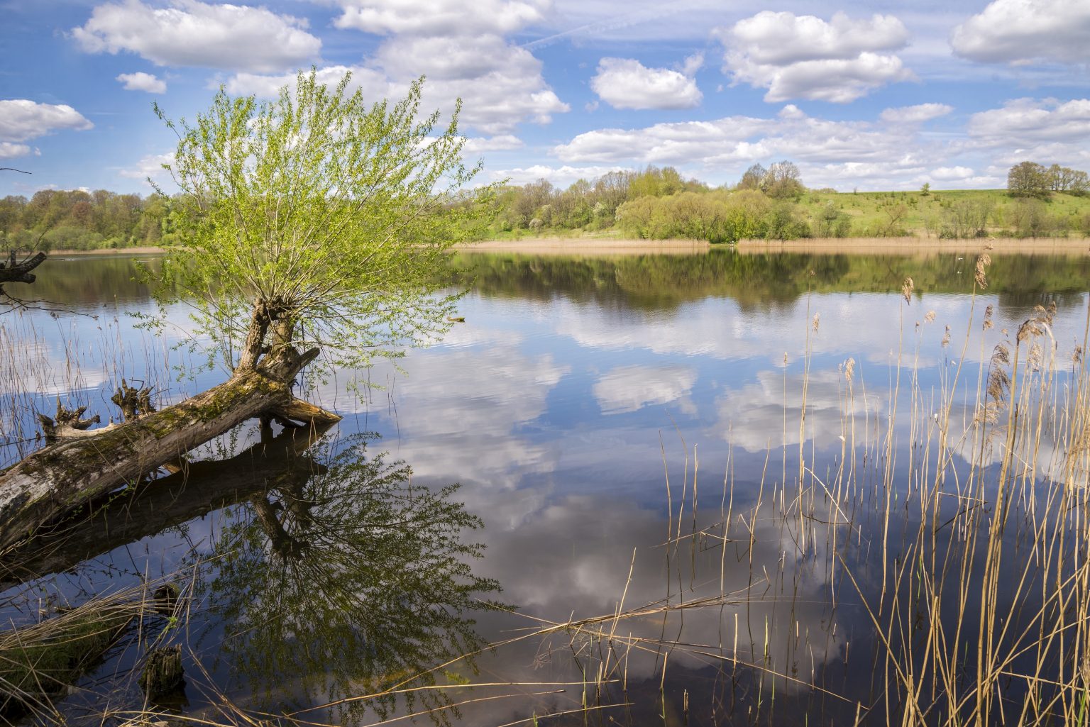 Са 147-годдзем Уладзіміра Адамава, Максім Жукаў! Са 147-годдзем Уладзіміра Адамава, Максім Жукаў!